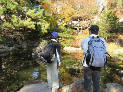 R6.11.9　函館公園